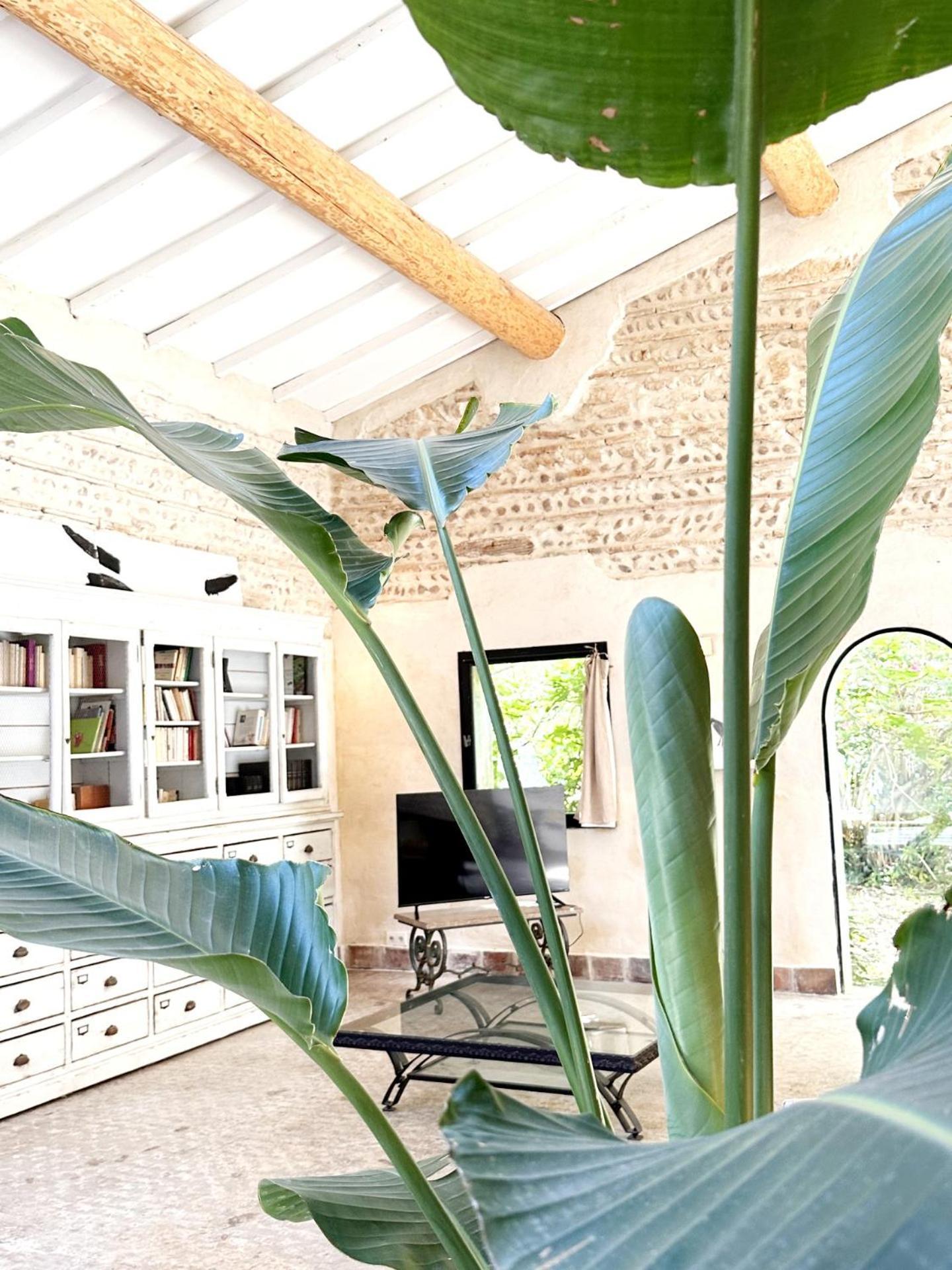 Magnifique Loft - Piscine - Tennis - Babyfoot Nîmes Exterior foto
